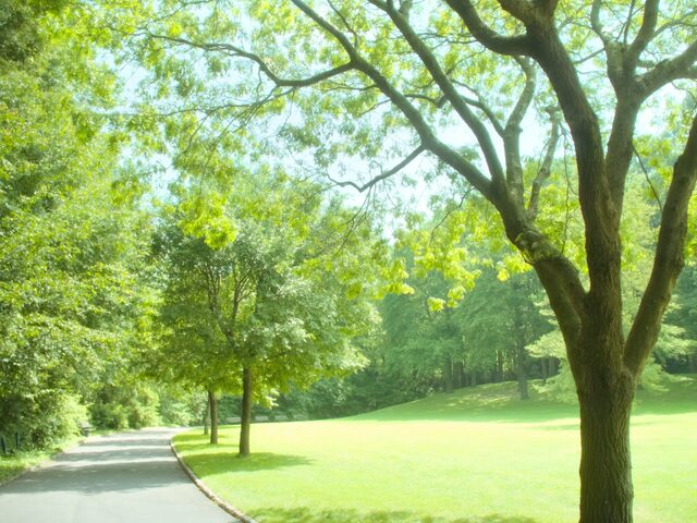 Nature & Parks in Lisbon